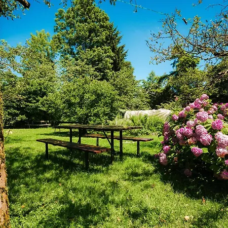 Apartament Argo