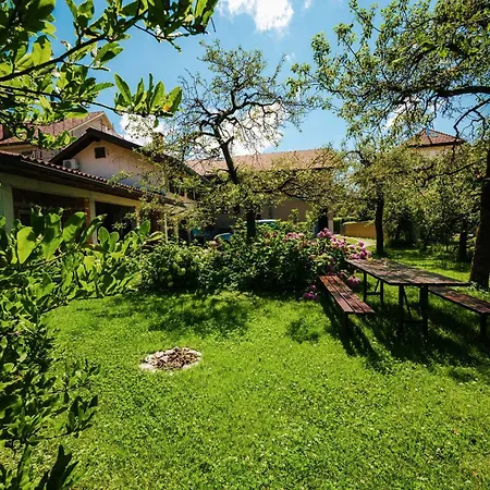 Argo Apartment
