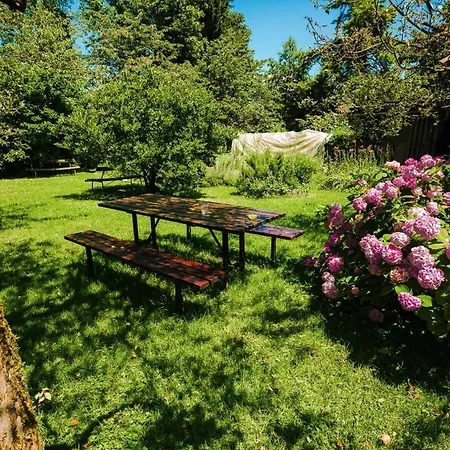 Argo Apartament