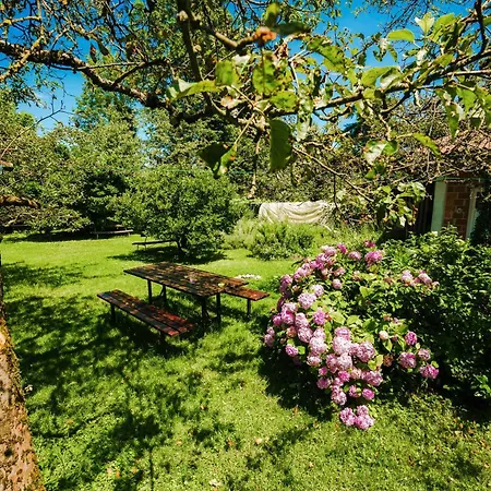 Apartament Argo *